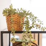 Wonderful And Fully Equipped * Ostende