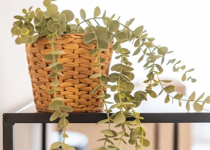 Wonderful And Fully Equipped Ostend