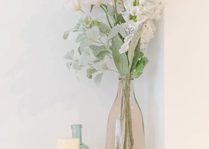 Apartment Wonderful And Fully Equipped Ostend