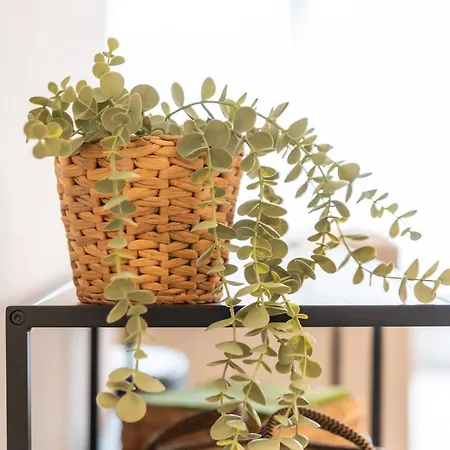 Wonderful And Fully Equipped Ostende